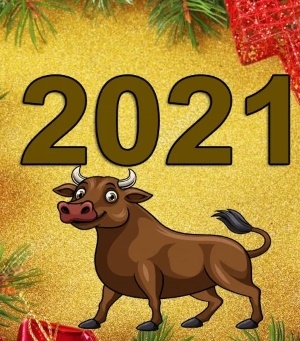 С наступающим новым 2021 годом + график работы